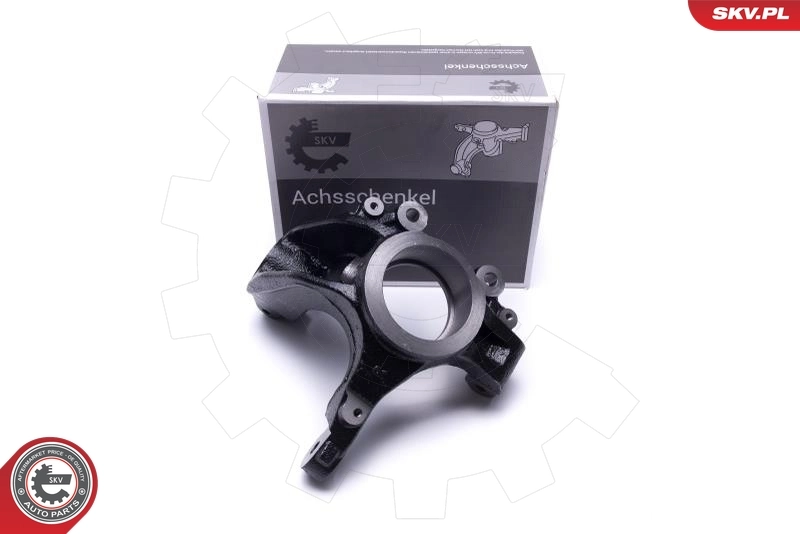 Steering Knuckle, wheel suspension